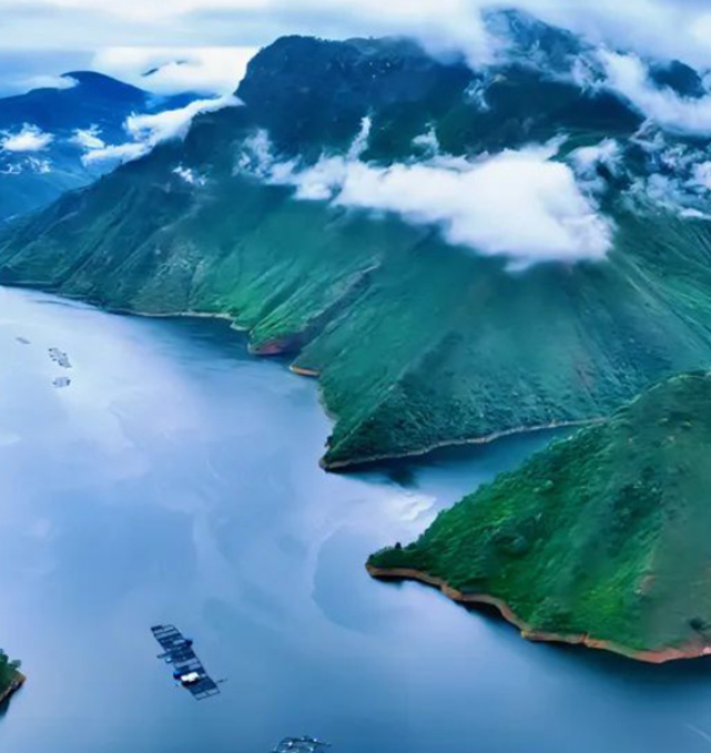 昆明信息港/cnkmxxg