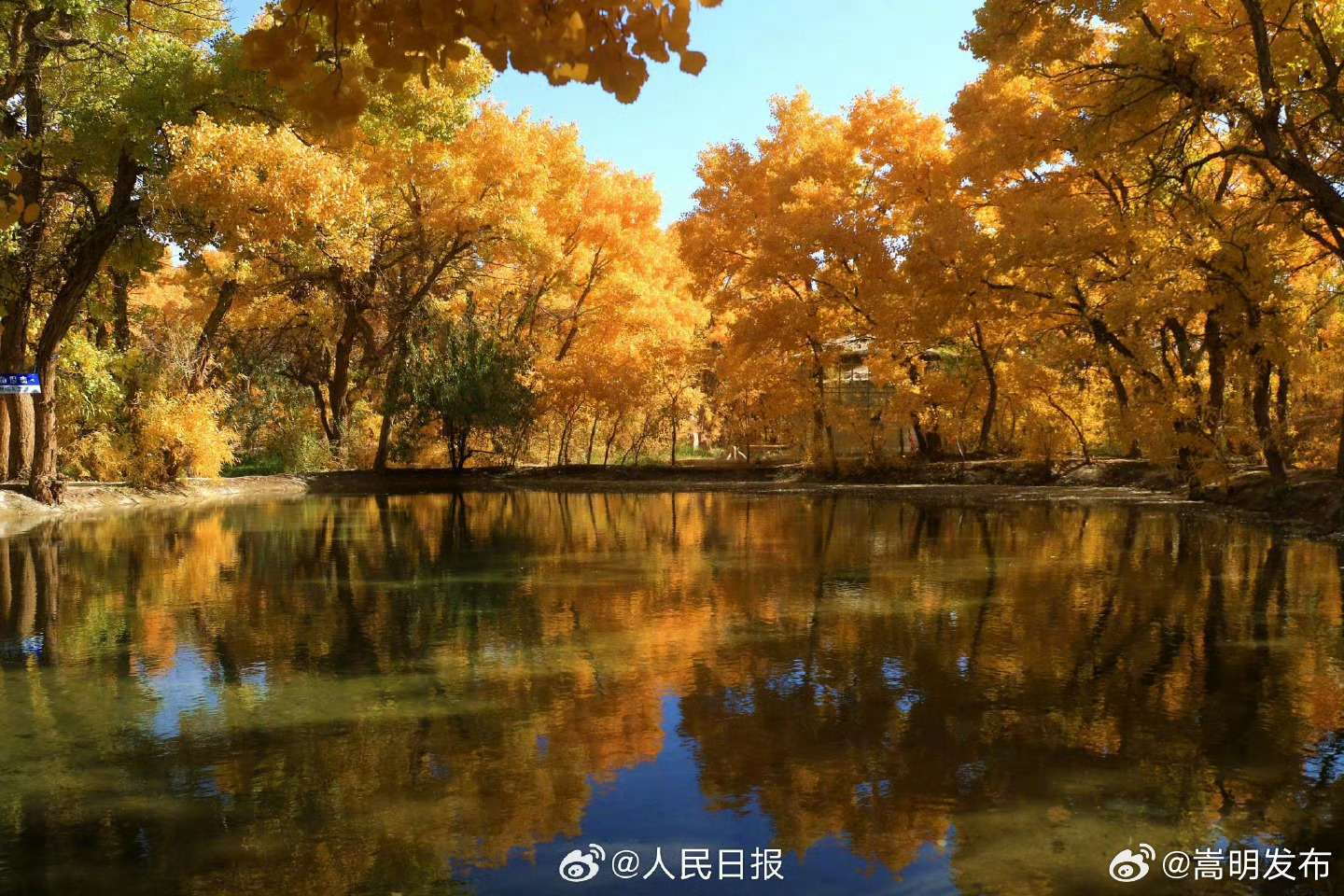 嵩明发布