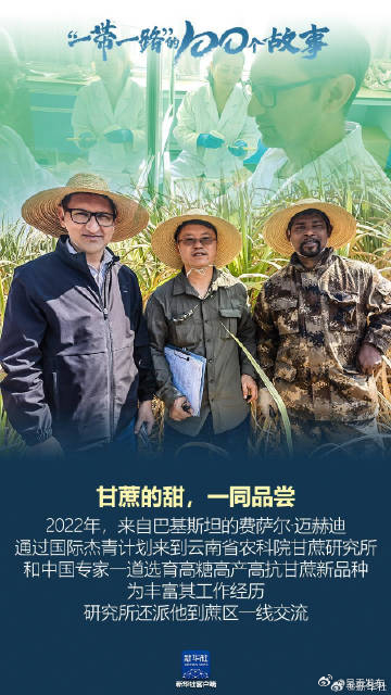 甘蔗的甜一同品尝