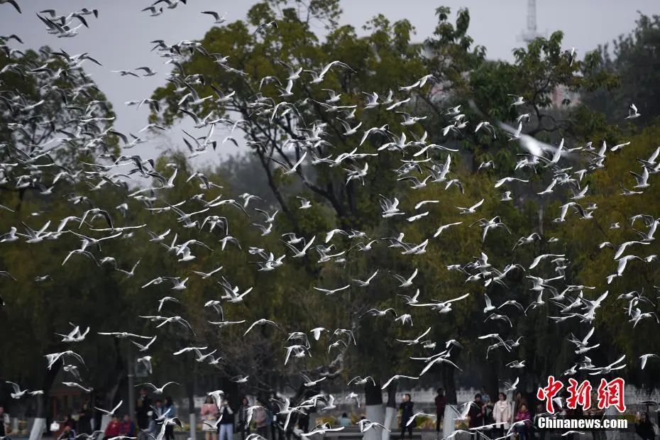 晋宁诗意的栖居地