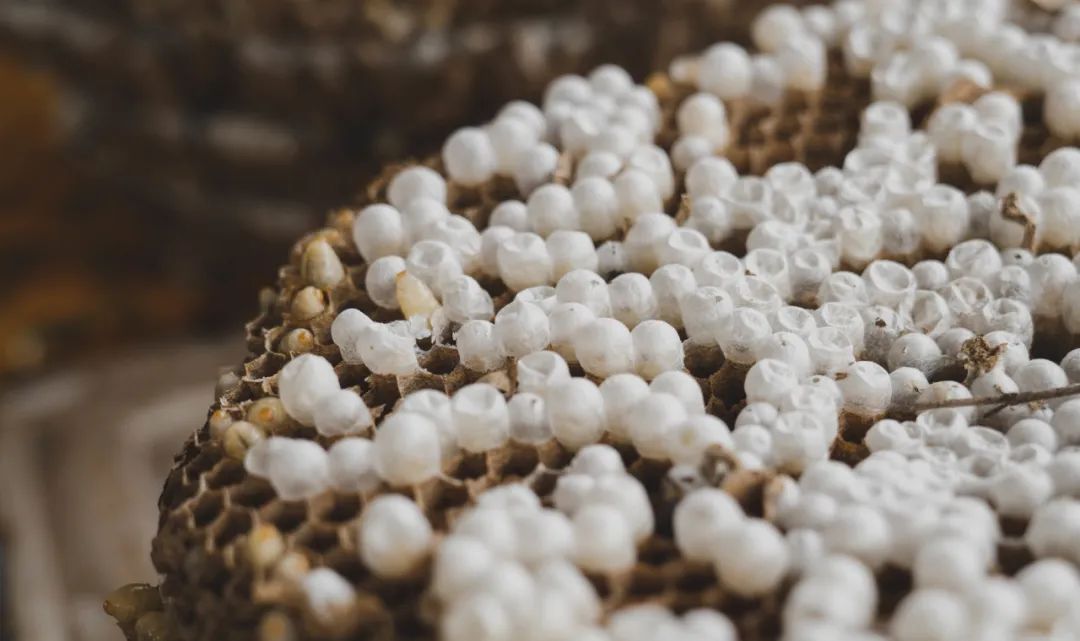 晋宁诗意的栖居地