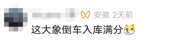 掌上春城微信