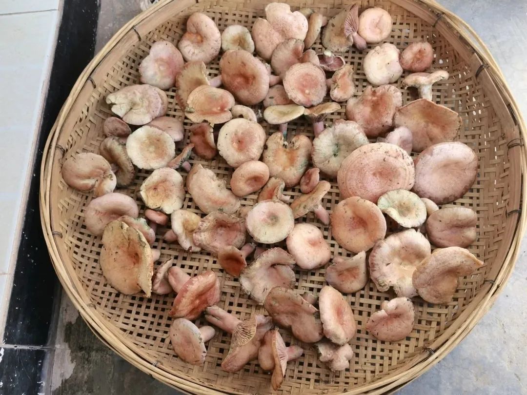 保山新闻网