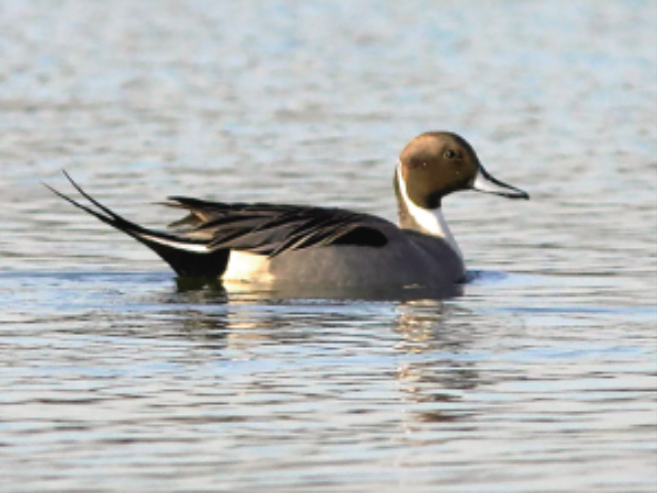 云南广播电视台微信