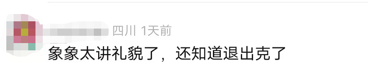 掌上春城微信