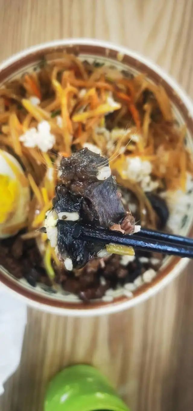 春城晚报