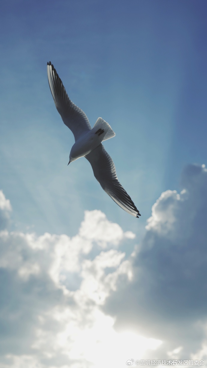 昆明经济技术开发区管委会