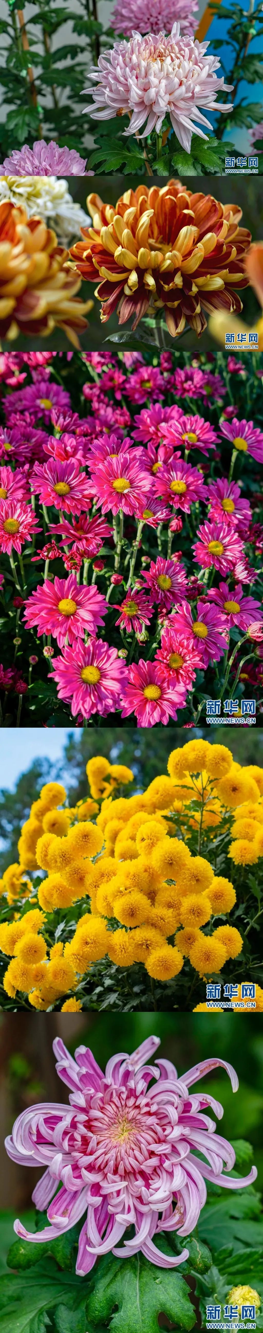 云南省文化和旅游厅