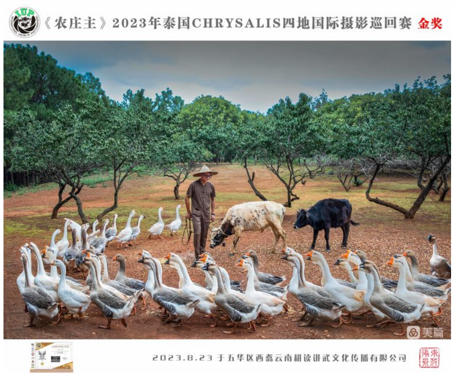 五华先锋