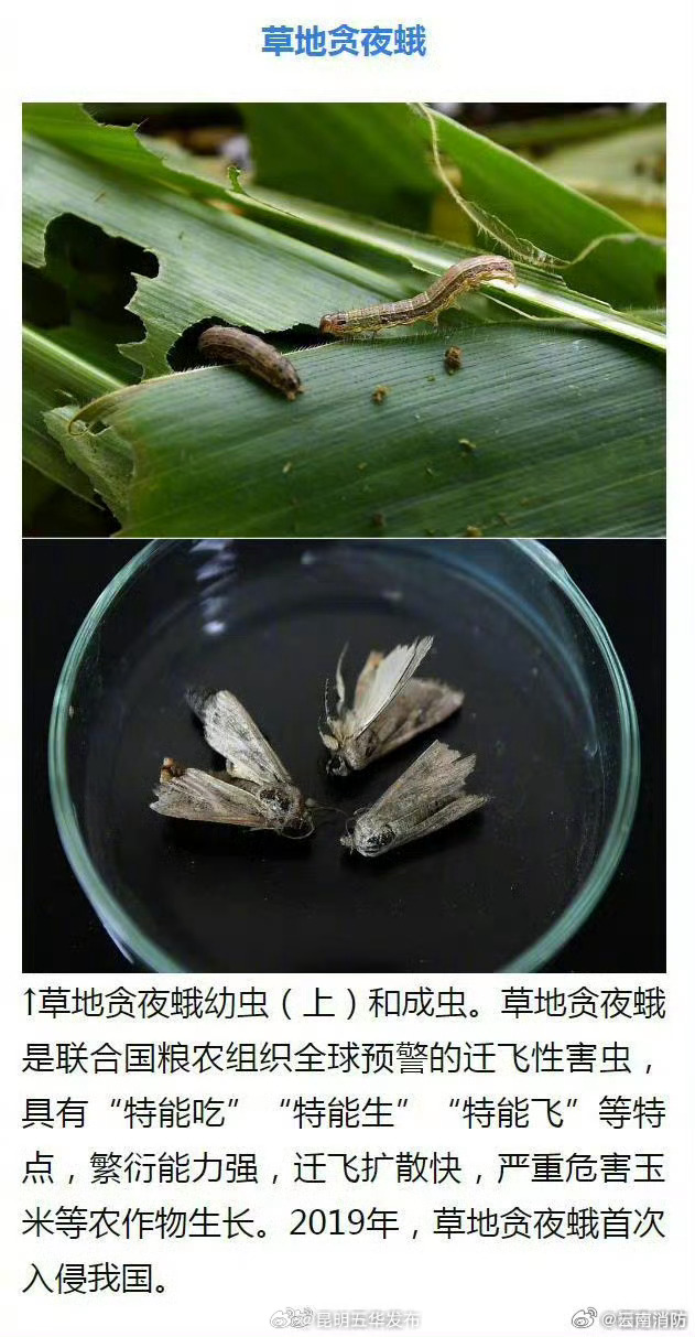 昆明五华发布