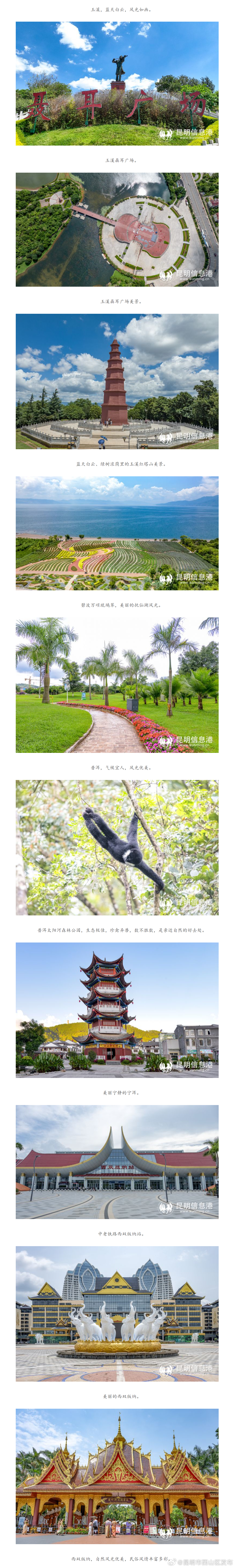 昆明市西山区发布