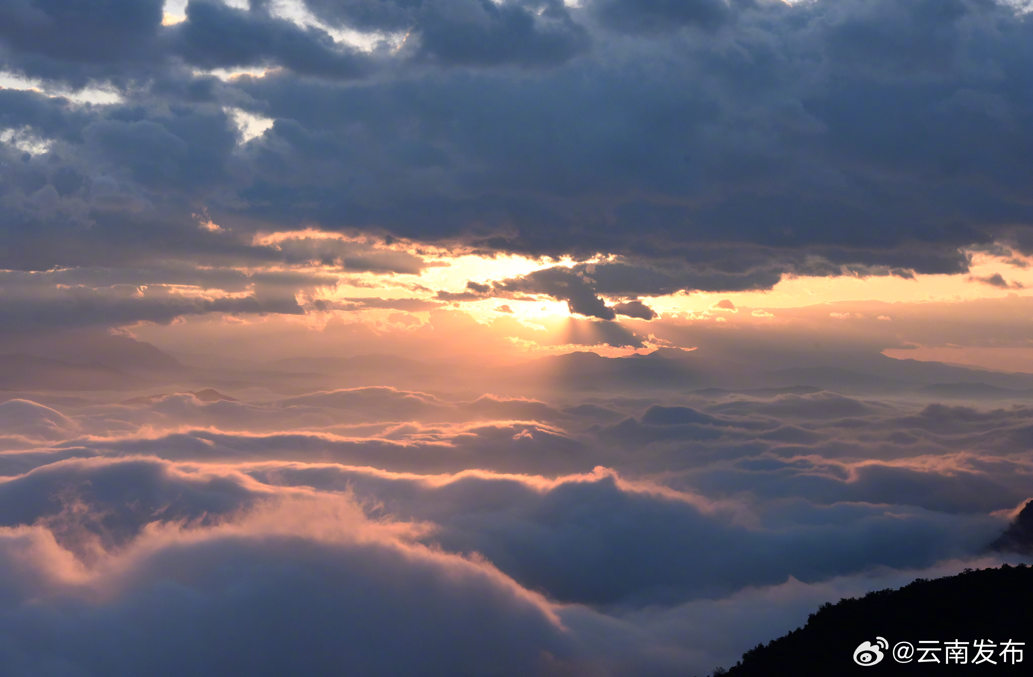 云南发布