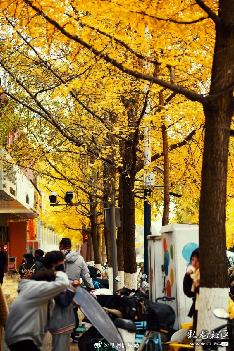 昆明信息港微博