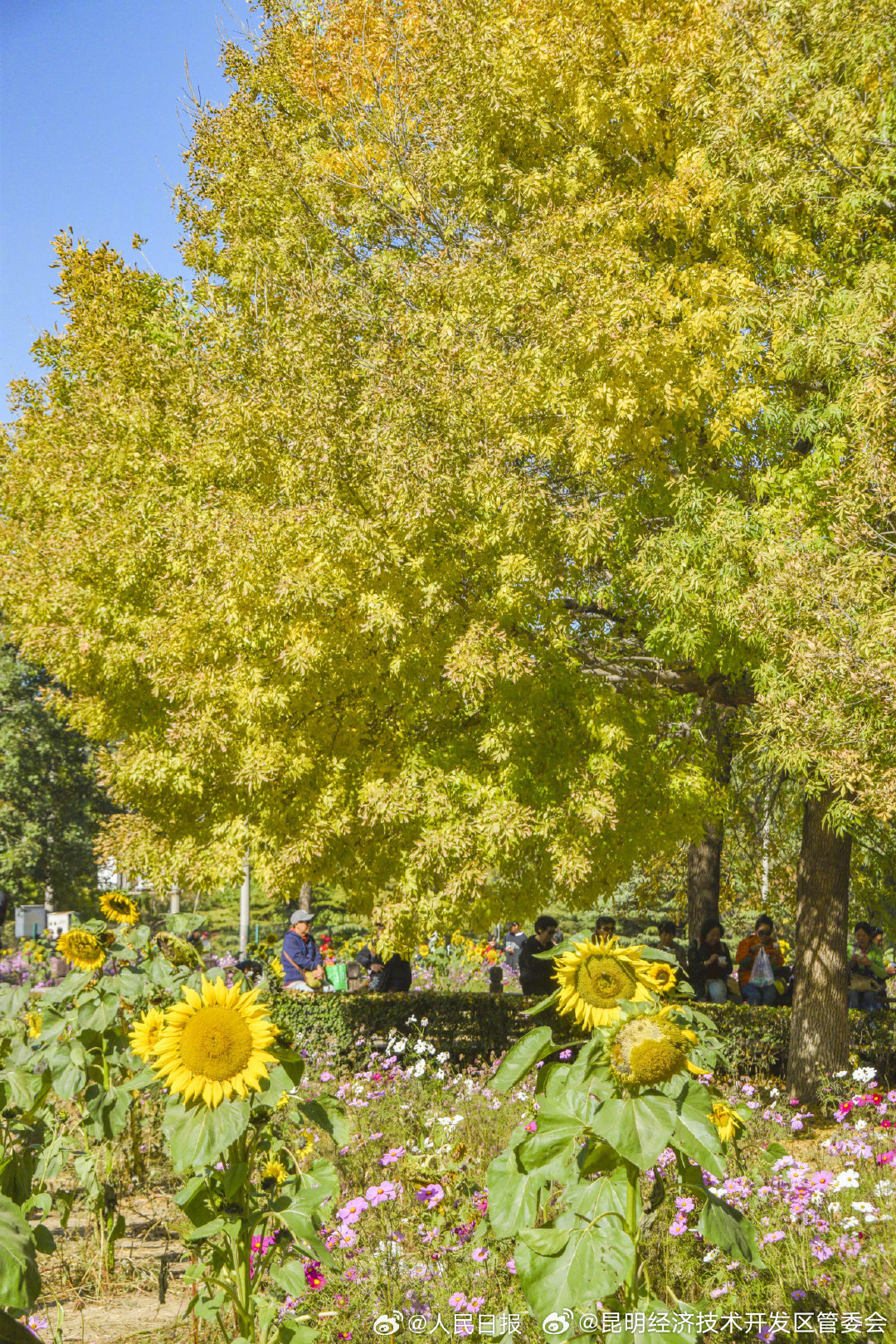 昆明经济技术开发区管委会