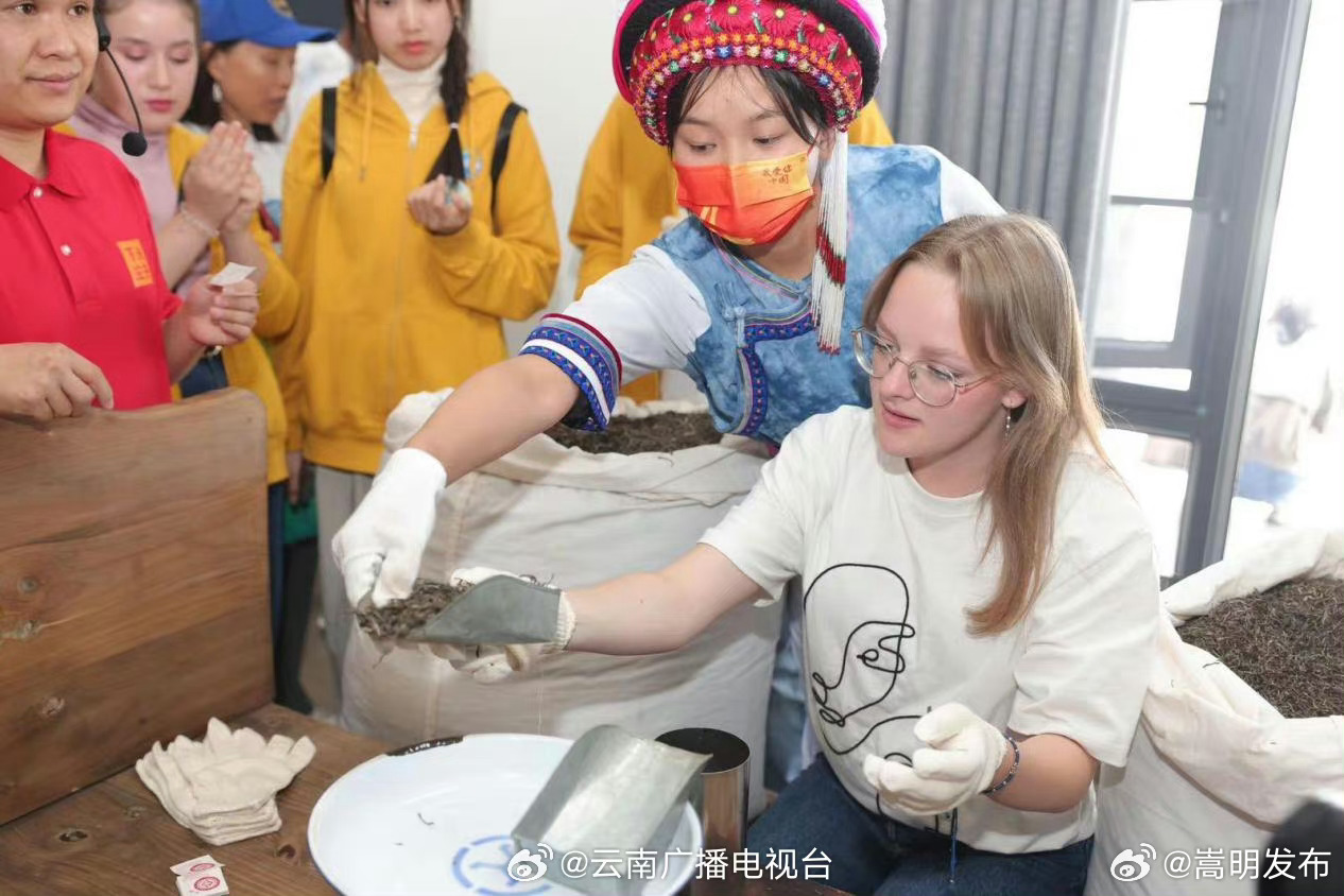 “汉语桥”选手来到了下关沱茶厂体验沱茶制作