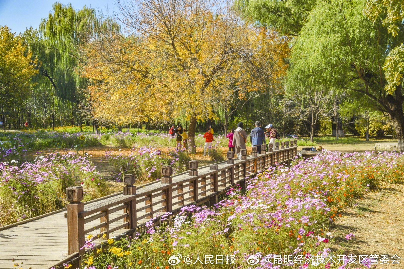 昆明经济技术开发区管委会