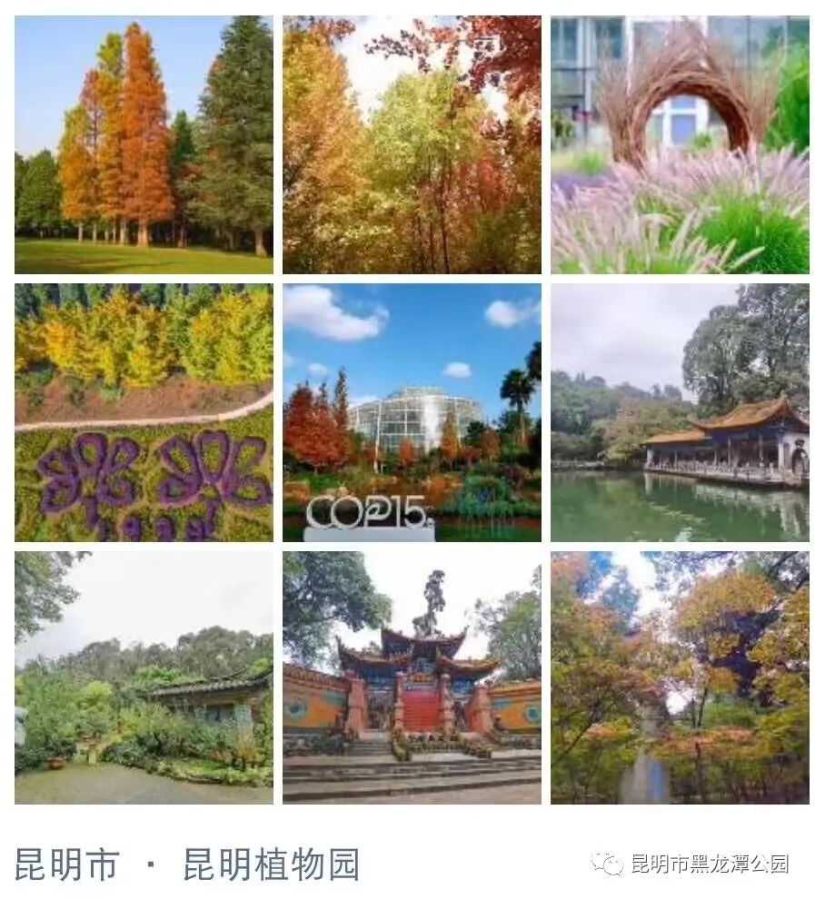 昆明市黑龙潭公园