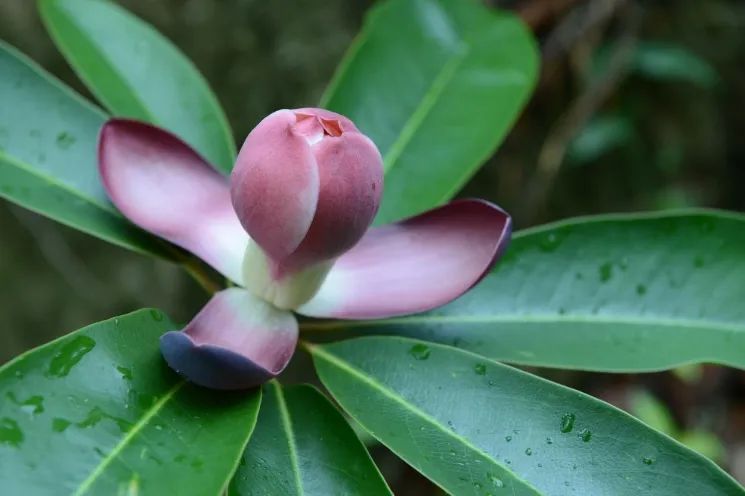 云南省人民政府网