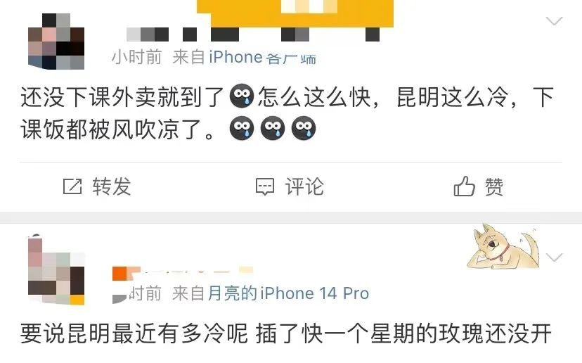 掌上春城微信