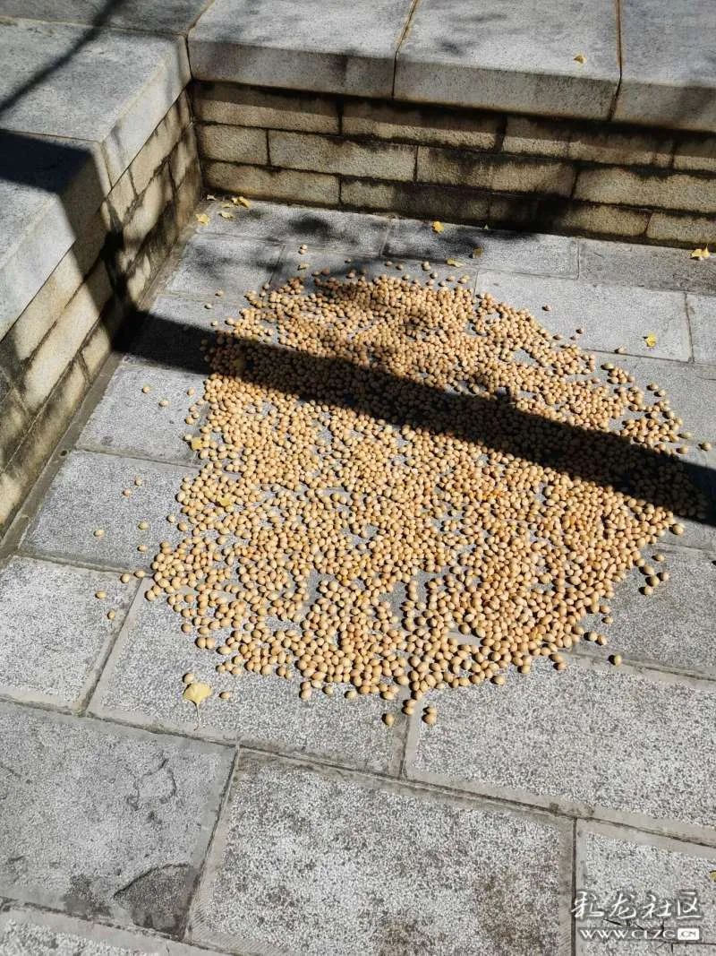 昆明西山发布