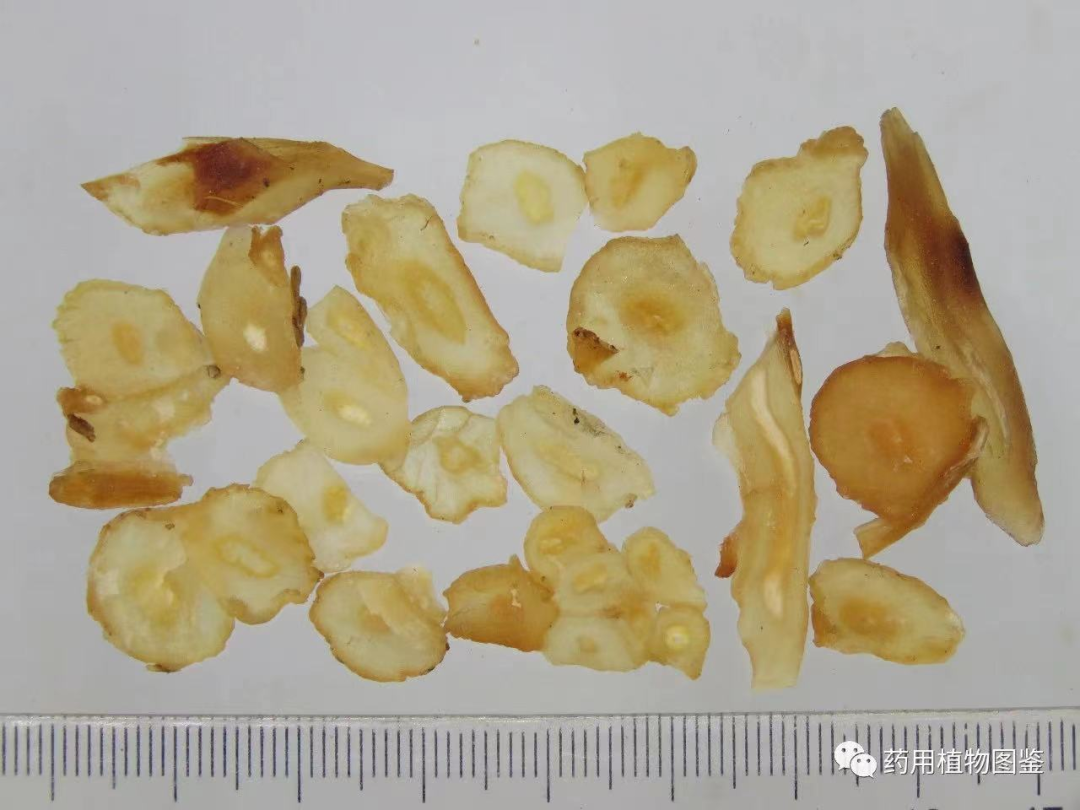 昆明市中医医院