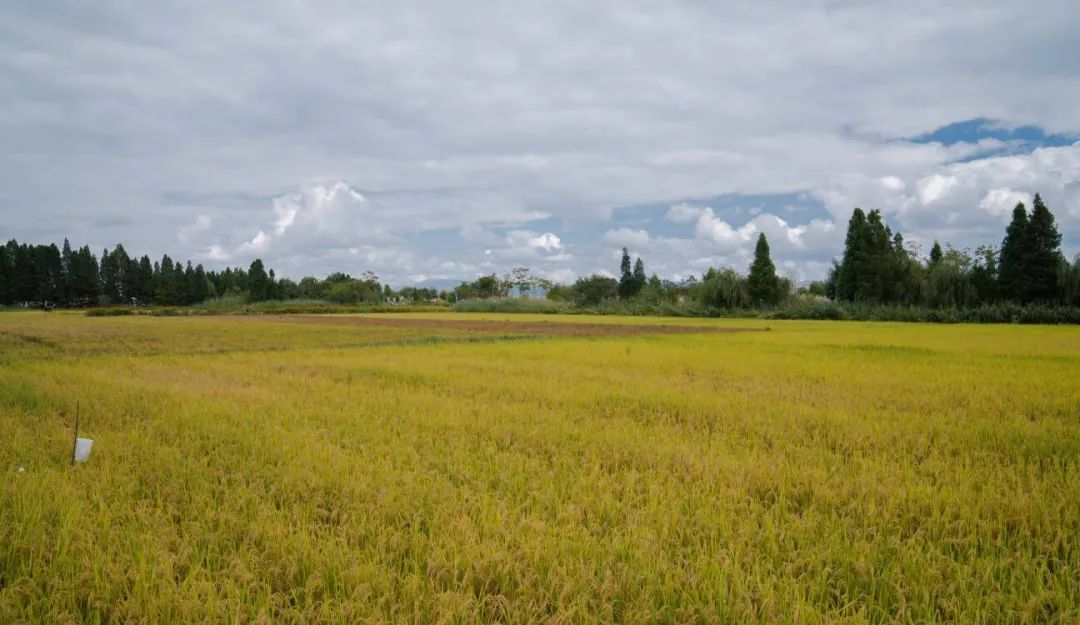 晋宁诗意的栖居地