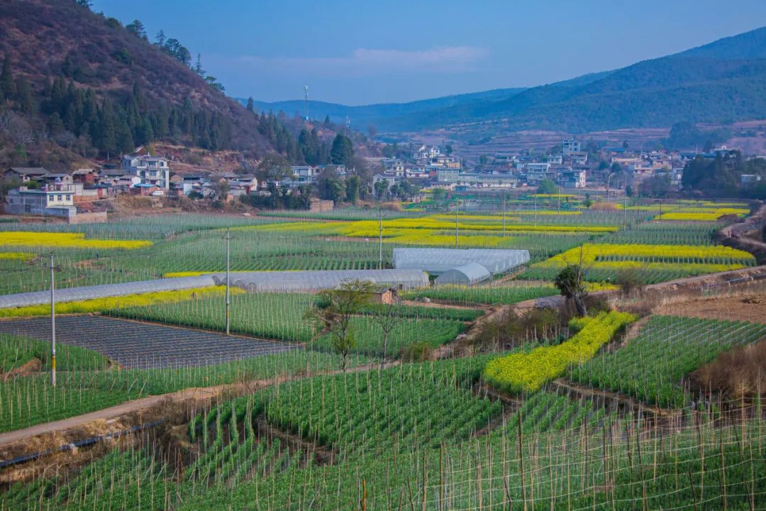 晋宁诗意的栖居地