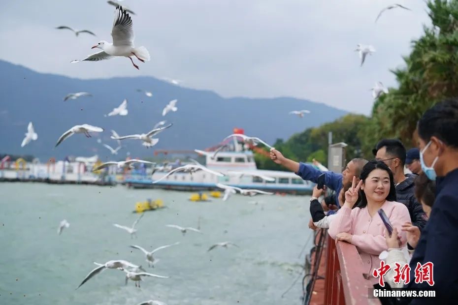 晋宁诗意的栖居地