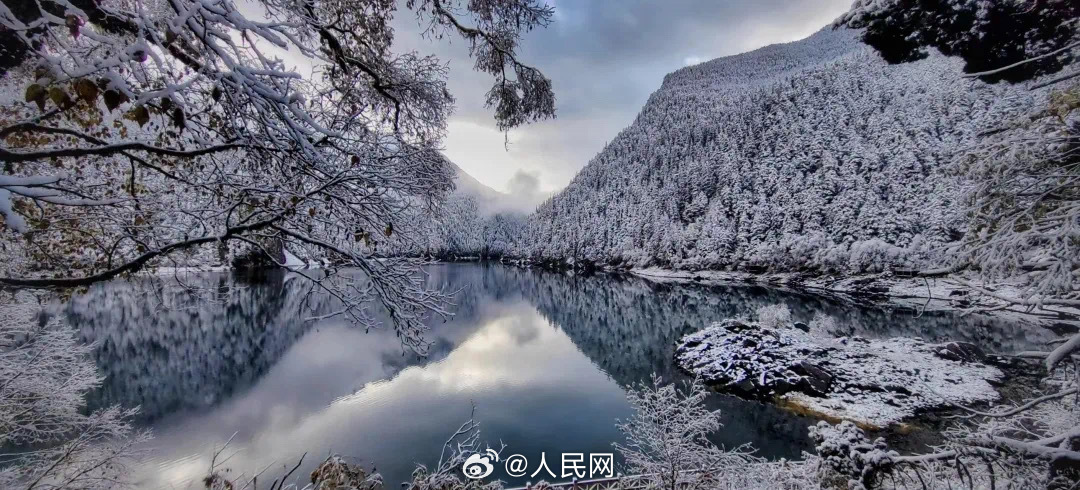 人民网