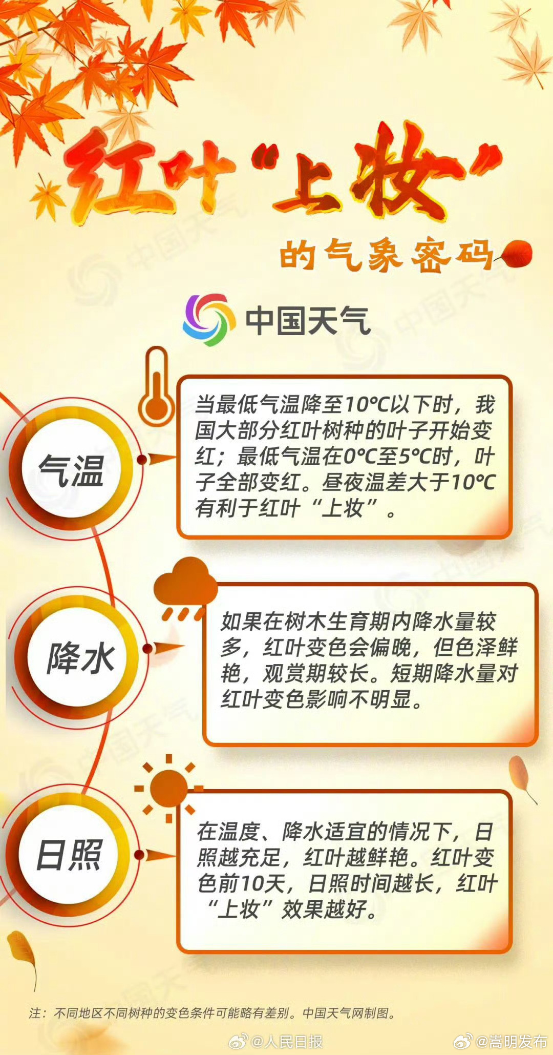嵩明发布