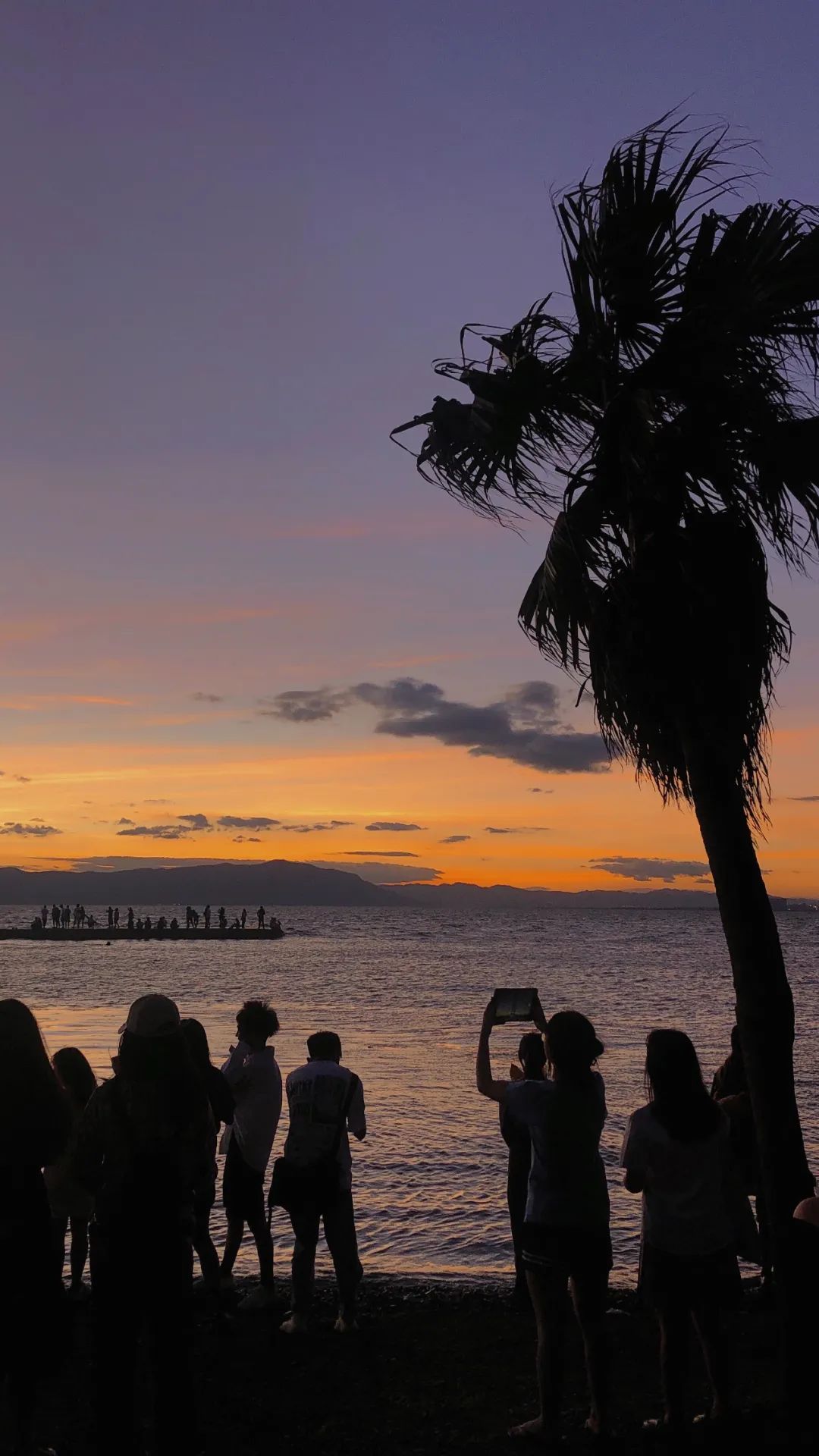 昆明公共文化云