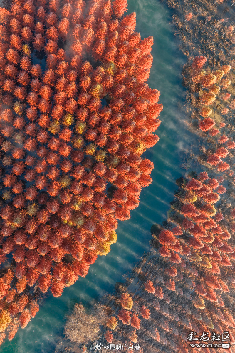 昆明信息港微博