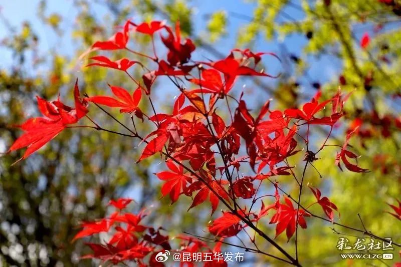 昆明五华发布