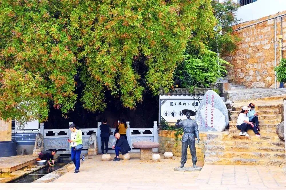 云南广播电视台微信