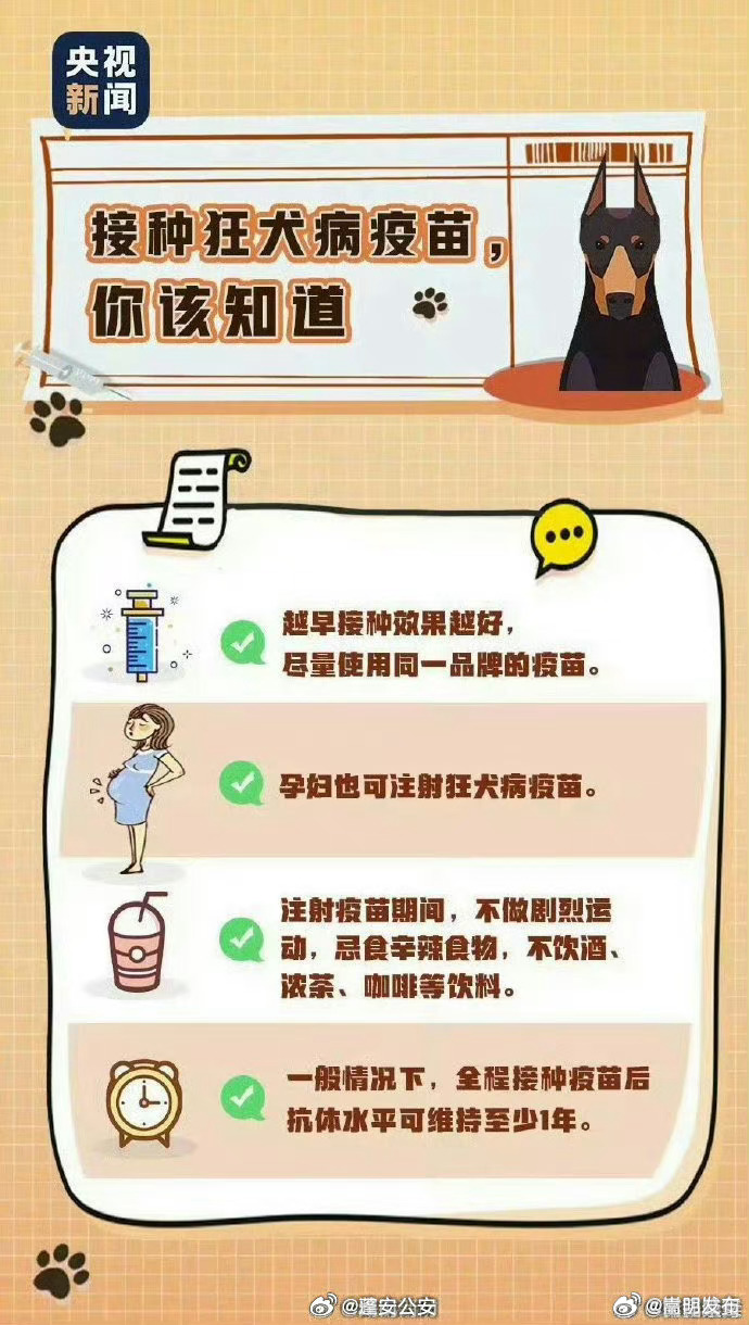 嵩明发布