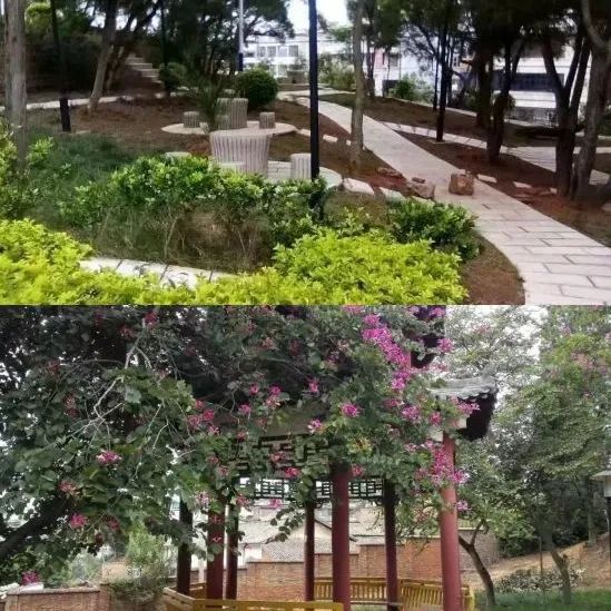 云南省人民检察院