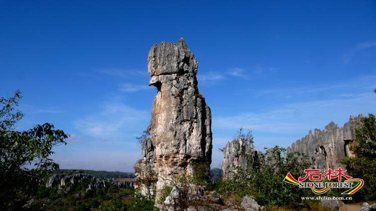 石林旅游网