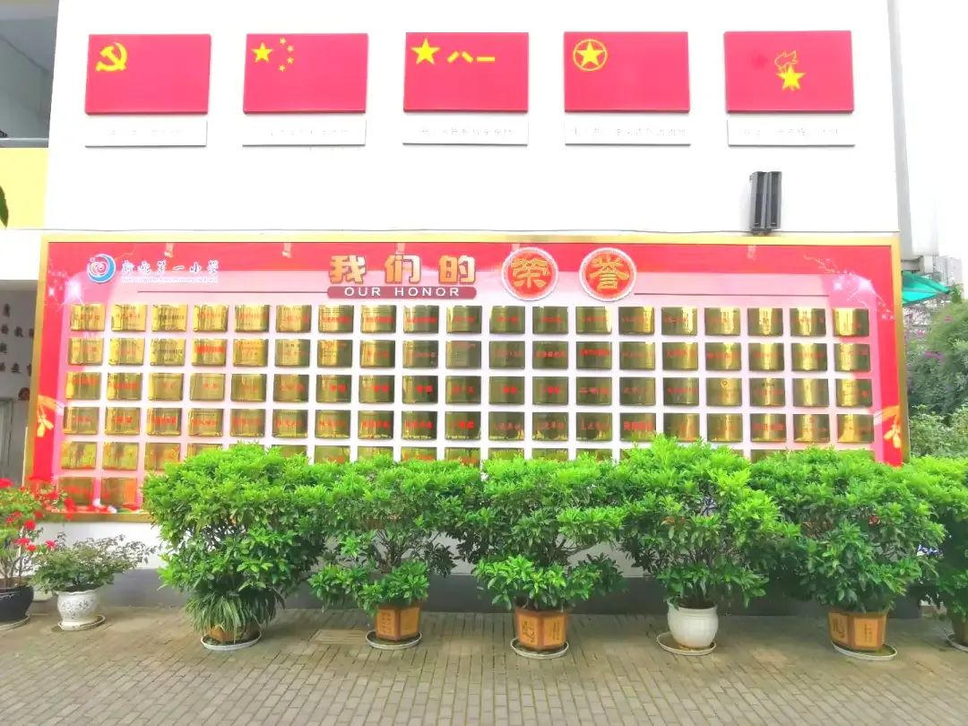 盘龙教育