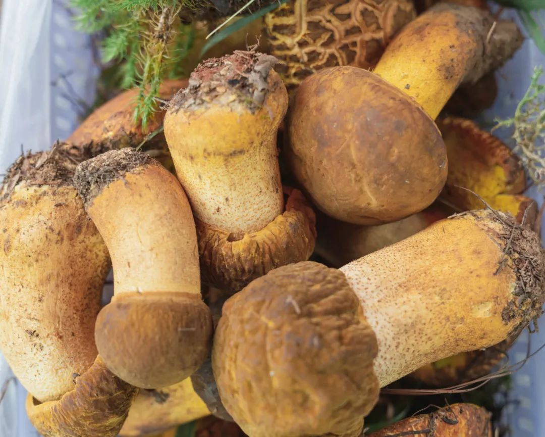 晋宁诗意的栖居地