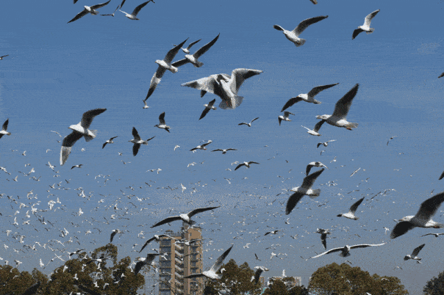 晋宁诗意的栖居地