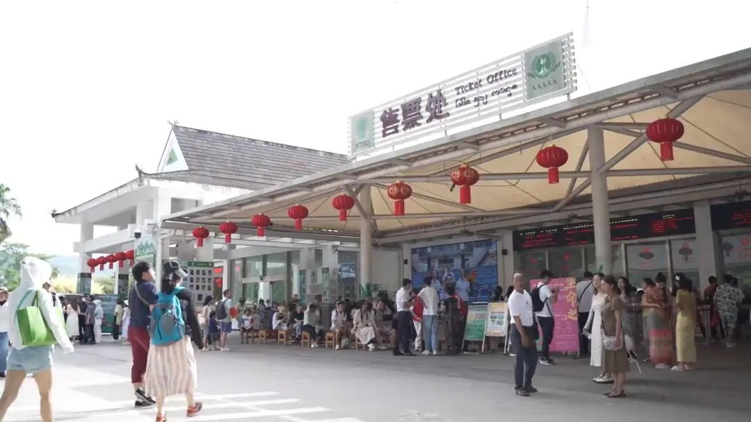 西双版纳先锋