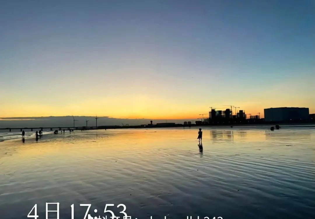 春城晚报