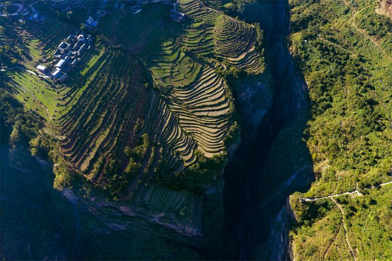 云南省文化和旅游厅