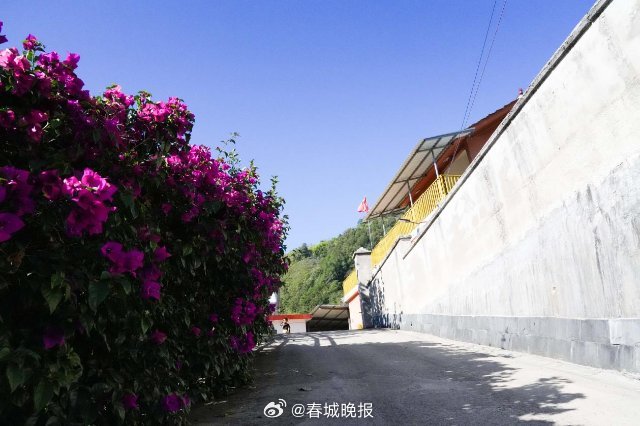 春城晚报