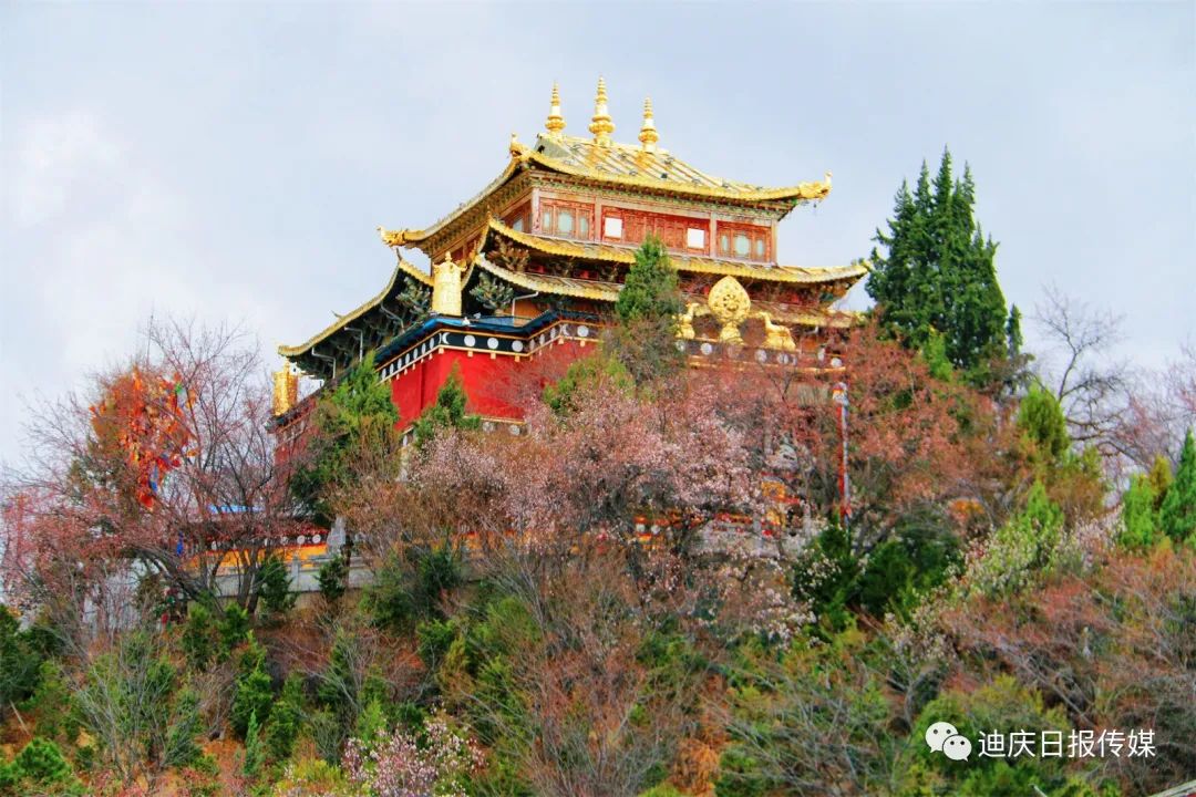 迪庆日报传媒
