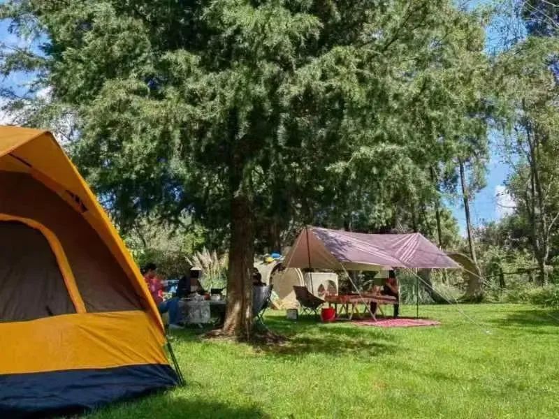 云南广播电视台微信