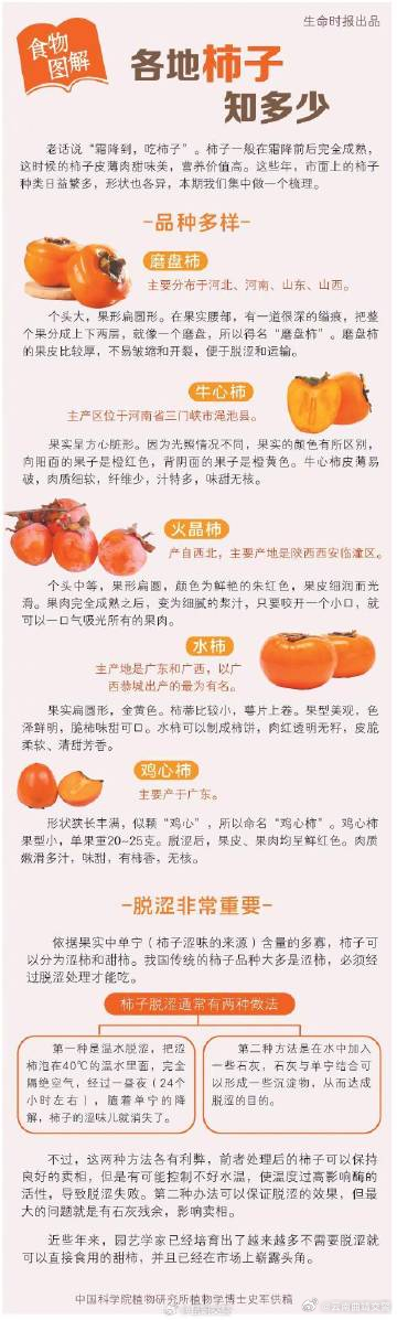 蜀黍每日分享——你能分清几种柿子的区别？戳图看看