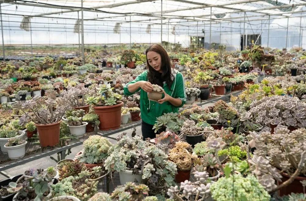 晋宁诗意的栖居地