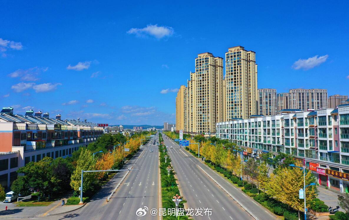 微新闻.新闻特写 沾益：金黄色的银杏叶把珠江源大道装扮一新