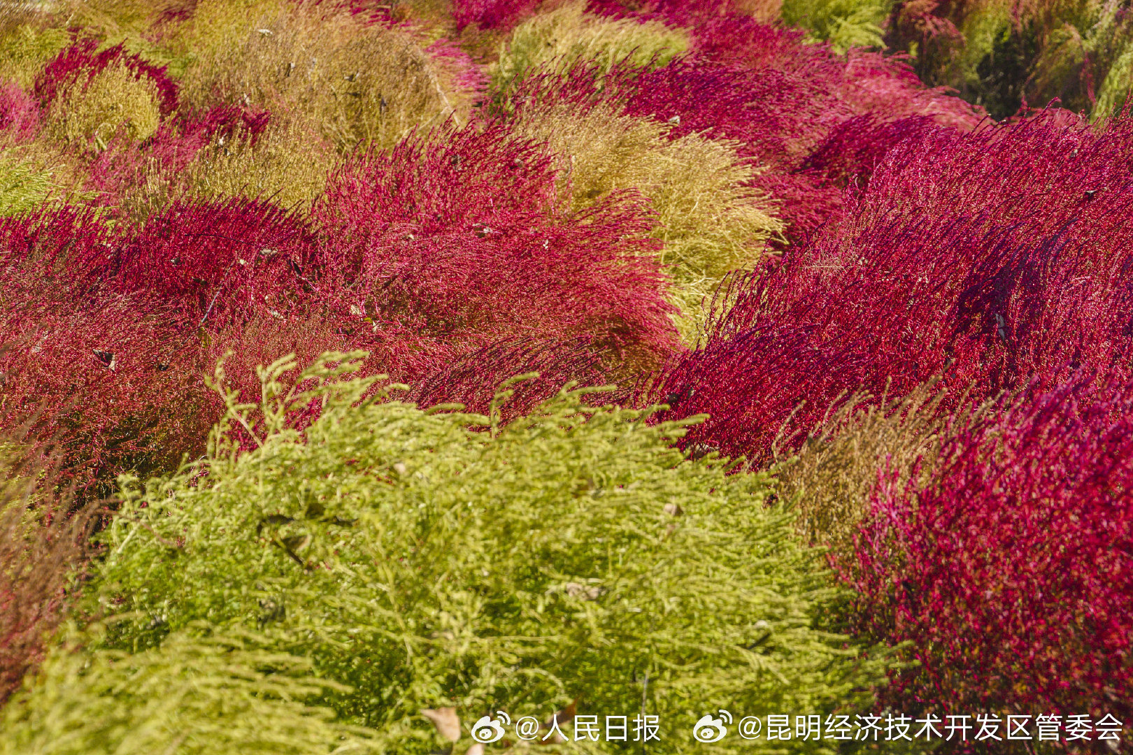 昆明经济技术开发区管委会